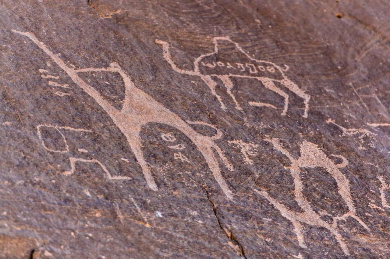 Harmony Luxury Camp Hotel Wadi Rum Eksteriør billede