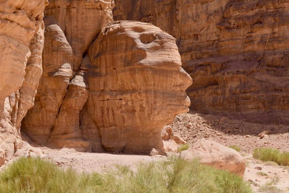 Harmony Luxury Camp Hotel Wadi Rum Eksteriør billede