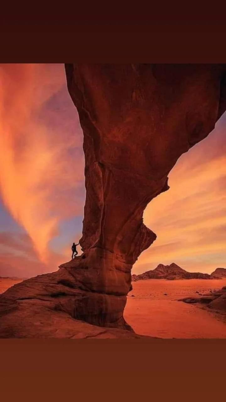 Harmony Luxury Camp Hotel Wadi Rum Eksteriør billede