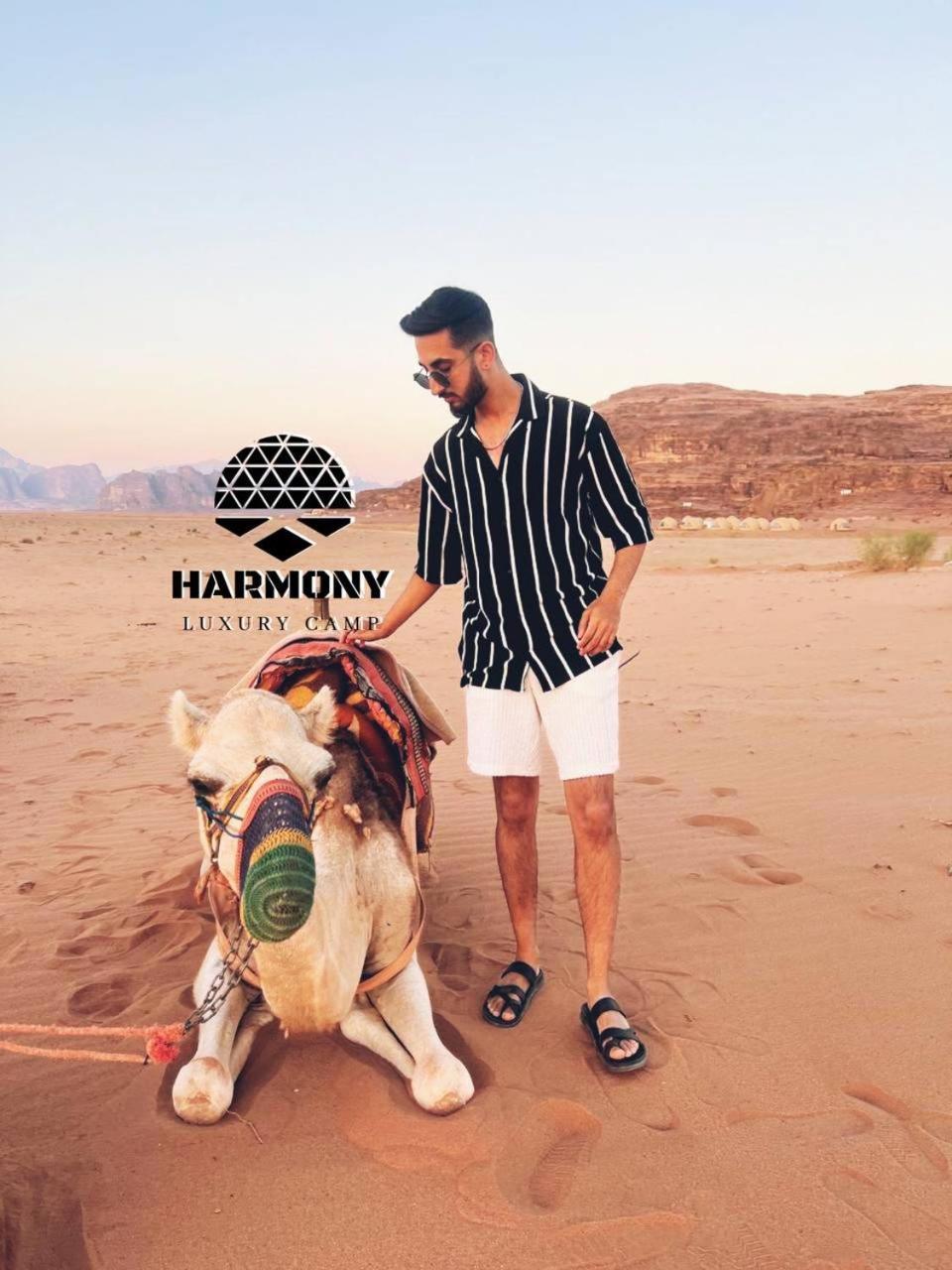 Harmony Luxury Camp Hotel Wadi Rum Eksteriør billede