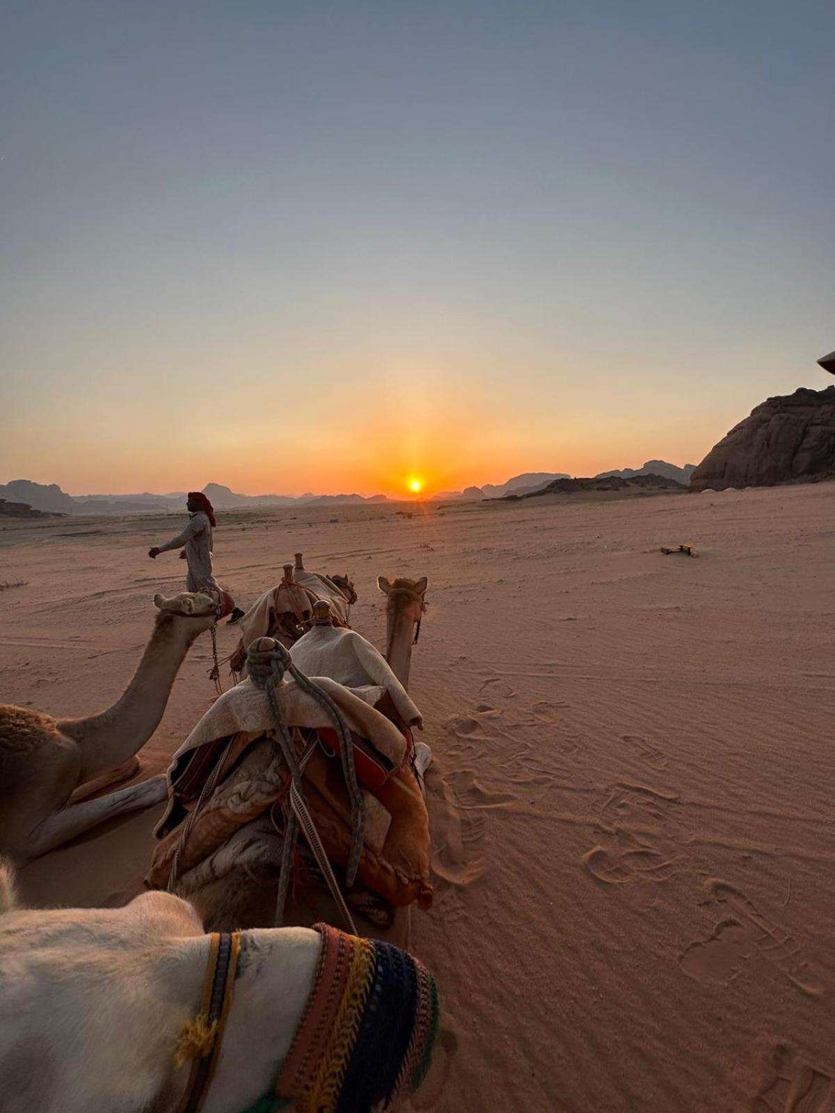 Harmony Luxury Camp Hotel Wadi Rum Eksteriør billede