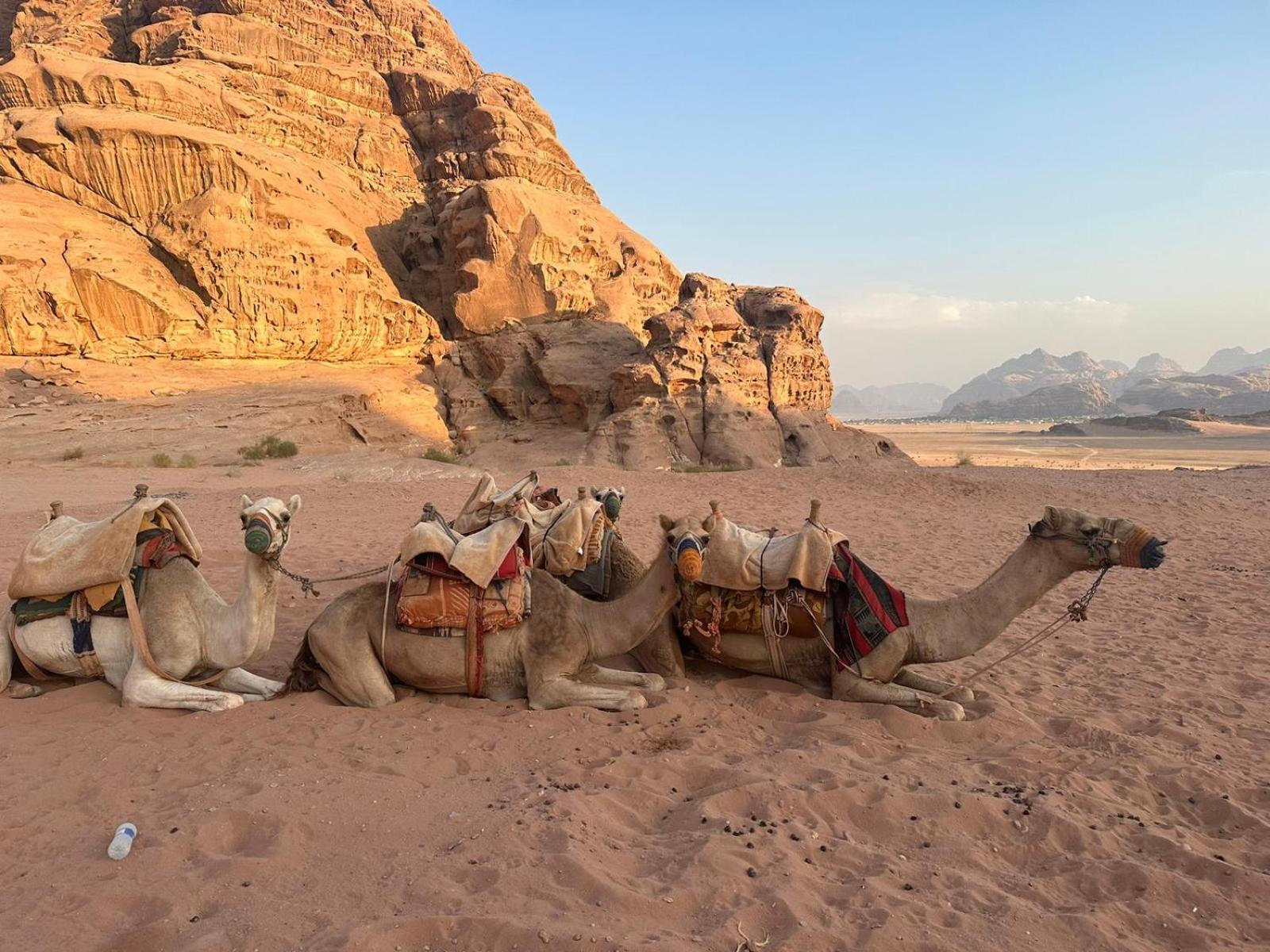 Harmony Luxury Camp Hotel Wadi Rum Eksteriør billede
