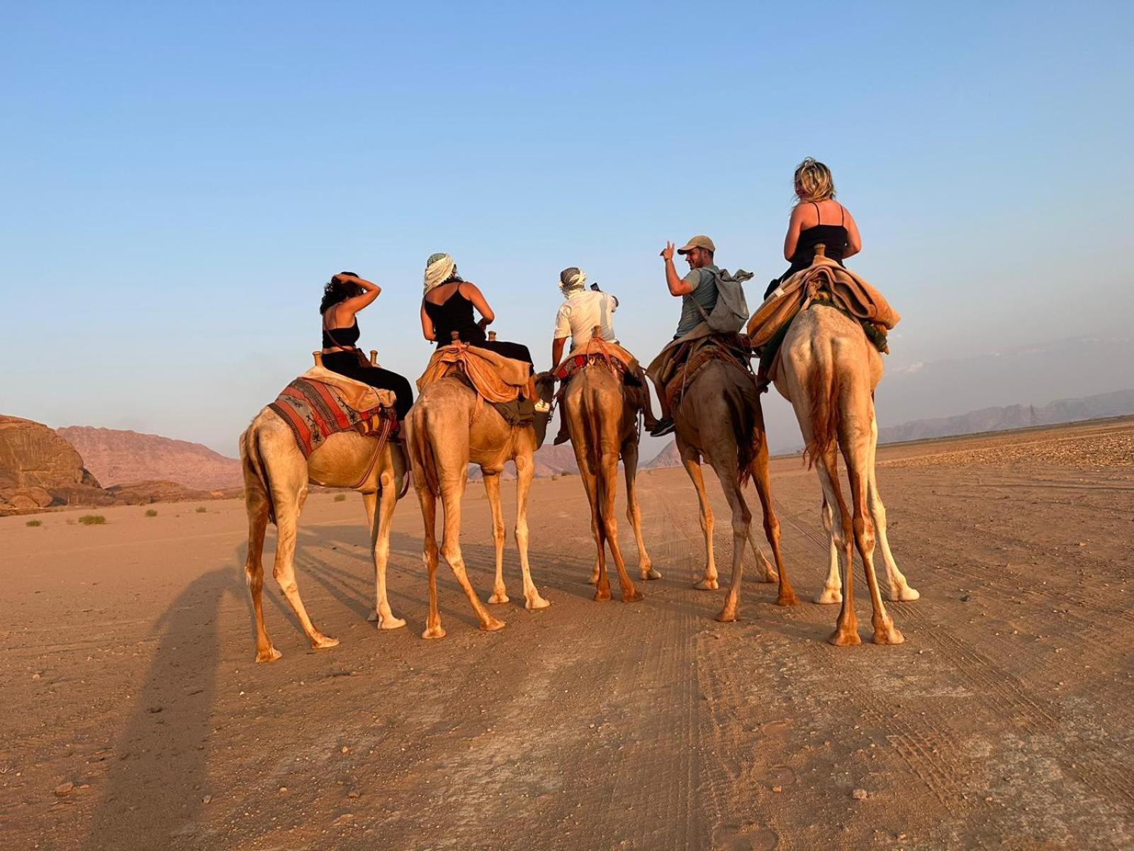 Harmony Luxury Camp Hotel Wadi Rum Eksteriør billede